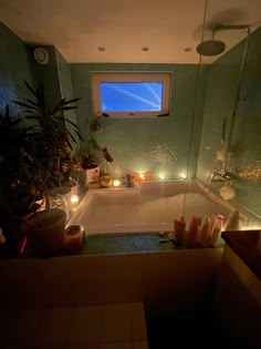 a bath tub sitting under a window next to a potted plant in a bathroom