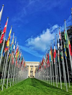 many flags are lined up in front of a building with a blue sky behind them