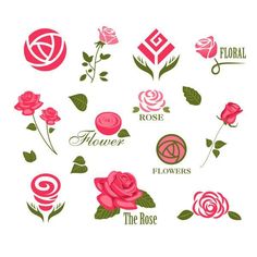 a bunch of flowers that are in the shape of letters on a white background with pink and green leaves