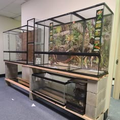 several different types of plants in glass cases