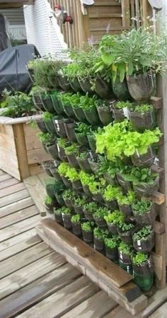 a wooden pallet filled with lots of plants