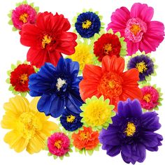 a bunch of colorful flowers on a white background