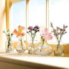 several vases filled with flowers sitting on a window sill