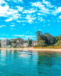 rose bay beach in sydney as seen from the water