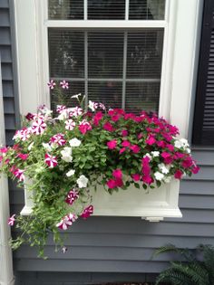 a window box filled with pink and white flowers