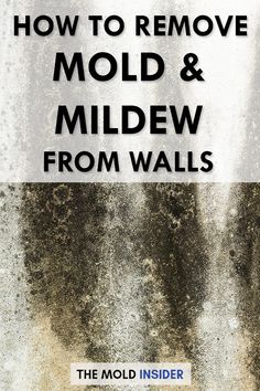 how to remove mold and mild from walls