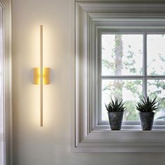 two potted plants sit on the window sill in front of a white wall