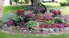 a garden area with flowers, plants and a wheel on the tree stump in the middle