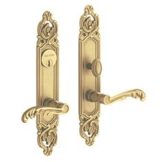 an ornate brass door handle and lever