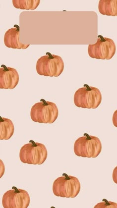 an image of pumpkins on a white background with a pink rectangle in the middle