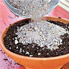 a person pouring dirt into a potted plant