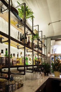 the bar is full of bottles and glasses on it's shelves with plants in them