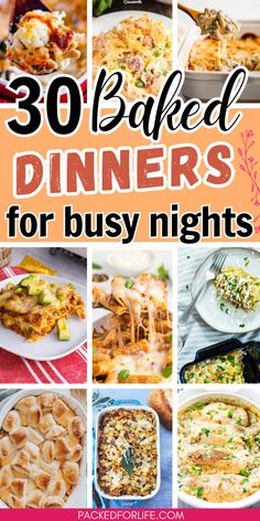 A variety of easy dump-and-bake dinner options, including cheesy casseroles, chicken bakes and vegetarian casserole dishes, perfect for affordable family meals. Dinner Recipes For A Crowd, Dinner Ideas For A Crowd, Meat Casseroles, Simple Dinner Recipes, Tuna Casserole Easy, Quick Vegetarian Dinner, Pork Enchiladas, Recipes For A Crowd, Casserole Side Dishes