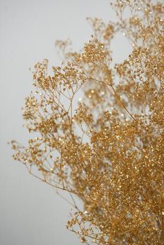 a close up view of some gold colored flowers