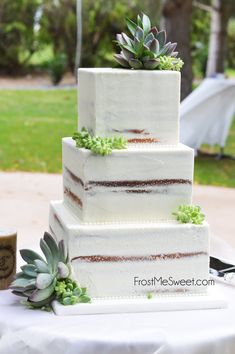 a three tiered cake with succulents on top