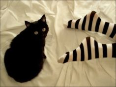 a black cat laying on top of a bed next to two striped socks with blue eyes