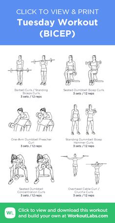 an exercise poster with instructions on how to use the squats and press - ups