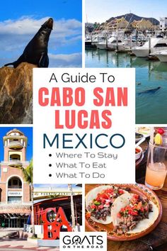 a guide to cabo san lucas, mexico where to stay and what to do