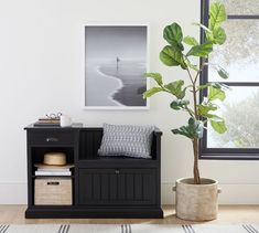 a living room with a potted plant next to a black cabinet and white walls