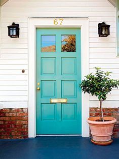 a potted plant sitting in front of a blue door