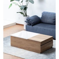 a living room with a couch, coffee table and potted plant