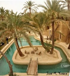 an aerial view of a pool with palm trees in the foreground and people sitting on benches at the end