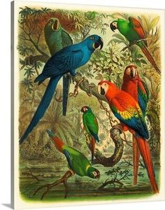 a group of parrots sitting on top of a tree branch in a forest with other birds