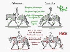 the diagram shows how to ride a horse in different positions, with instructions for each rider