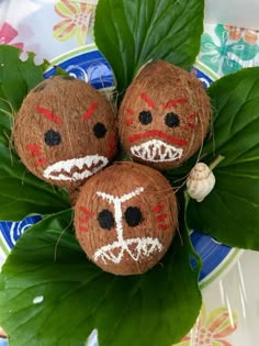 three coconuts with faces painted on them are sitting on a blue and white plate