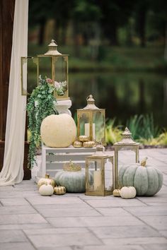 white pumpkins and gourds are arranged on a bench near a pond with greenery