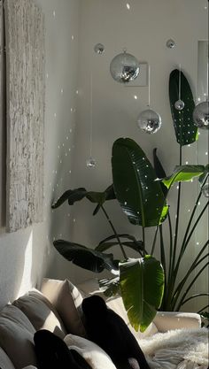 a living room filled with lots of furniture and plants on the wall next to it