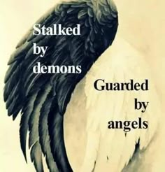 an angel's wing with the words stalking by demons guarded by angels