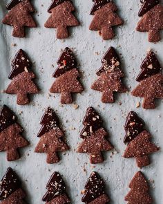 chocolate christmas trees are arranged in rows on a sheet of parchment paper with chopped nuts