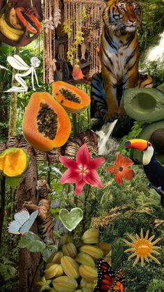 a collage of pictures with animals, plants and flowers in the foreground is a toucan