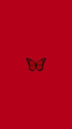 a red wall with a butterfly on it