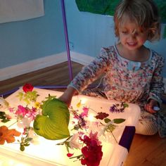 Spring on the light table from The Artful Parent (",) Messy Activities, Artful Parent, Mason Jar Chandelier, Digital Media Design, Diy Chandelier, Spring Plants, Led Diy, Nature Table, Messy Play