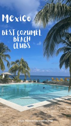 an empty swimming pool with palm trees and the words mexico best cozumel beach clubs