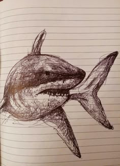 a drawing of a shark on lined paper