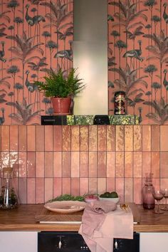 a kitchen with pink wallpaper and potted plants on the counter top, next to an oven