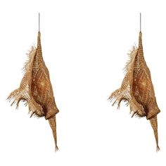 two pieces of corn hanging from strings on a white background, one is brown and the other is beige