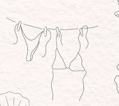 two women's bras hanging on a clothes line with seashells in the background