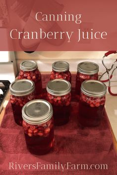 How to Make and Can Cranberry Juice - Rivers Family Farm Canning Drinks, Homemade Cranberry Juice, Drinks With Cranberry Juice, Unsweetened Cranberry Juice, Honey Lemonade, Smoothie Benefits, Canned Cranberries, Canning Fruit, Canning Ideas