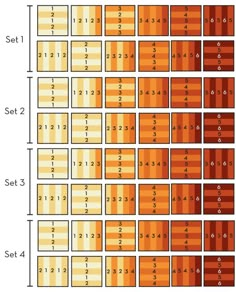 an orange and yellow pattern with numbers on it, including the number of rows in each row