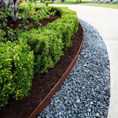 a garden bed with gravel and plants in the middle, along side a sidewalk on a sunny day