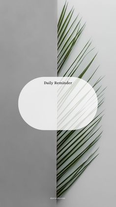 a palm leaf with the words daily reminder