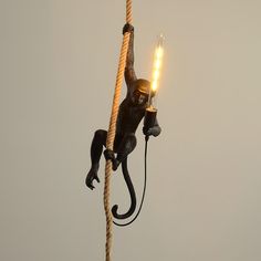 a monkey on a rope with a light bulb in it's mouth