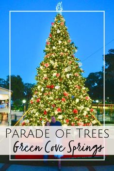 a woman standing in front of a christmas tree with the words parade of trees green cove springs