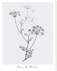 a black and white drawing of flowers on a light gray background with the words from the heart written below