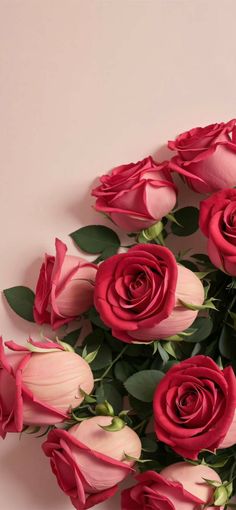 a bunch of pink roses on a white surface with green leaves and stems in the center