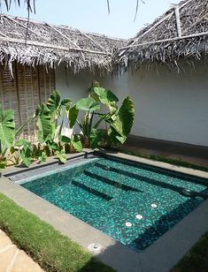 an outdoor swimming pool surrounded by grass and plants